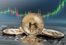 How Bee Colony Collapse Disorder Informs Exchange Systemic Risk Models ethereum price prediction