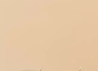 Why That Simple Cup on Your Desk Is Doing More Than You Think mug