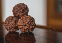 Why People on This Side of Bangalore Keep Talking About a Certain Bead 5 Mukhi Rudraksha Bannerghatta Road