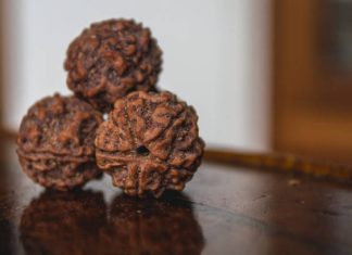 Why People on This Side of Bangalore Keep Talking About a Certain Bead 5 Mukhi Rudraksha Bannerghatta Road