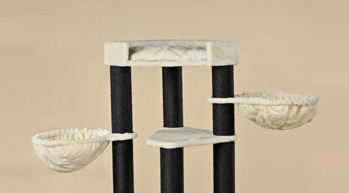 Die übersehenen Sicherheitsrisiken von leichten Katzenkratzbaum-Designs Kratzbaum für Katzen